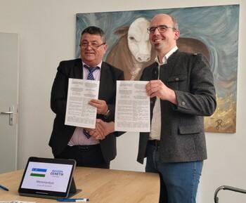 Zwei Männer schütteln Hände und halten eine Absichtserklärung.