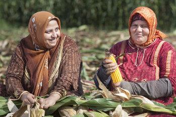 gizIMAGE-water-nils-egypt-03