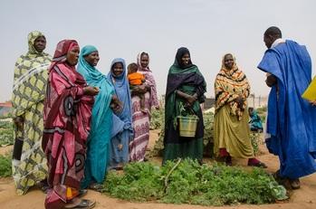 Lawessi-enHautDSC_0890 - Kopie