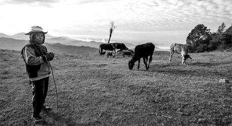 Mexiko. Viehzüchter