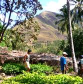 ph-farmer-versorgen-wiederaufforstungssetzlinge