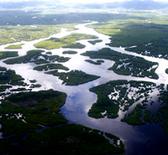 Philippinen. Weitläufige Mangrovenflächen überziehen die Küstengebiete der Insel Siargao (Gemeinde Del Carmen). © GIZ