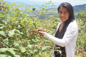 PRODES_NdS_Mora_copyright GIZb