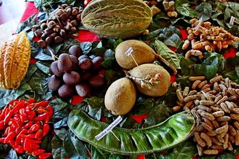 Productos de pequeños productores agrícolas. Fotografía: GIZ/Loebenstein