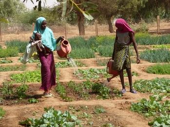 projektbeschreibung2garten(original)