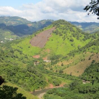 REDD_Cerro deforestado