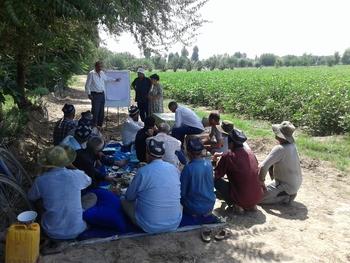 Wirtschaftswachstum in Tadschikistan_2