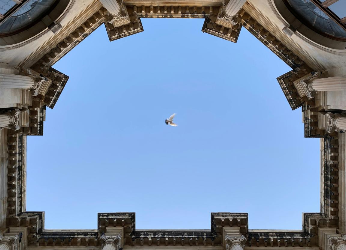 Ein von unten aus einem Innenhof aufgenommenes Foto. Über blauen Himmel fliegt eine Taube. Am Rand sieht man die Ränder von einem alten Gebäude mit Säulen und Verzierungen.