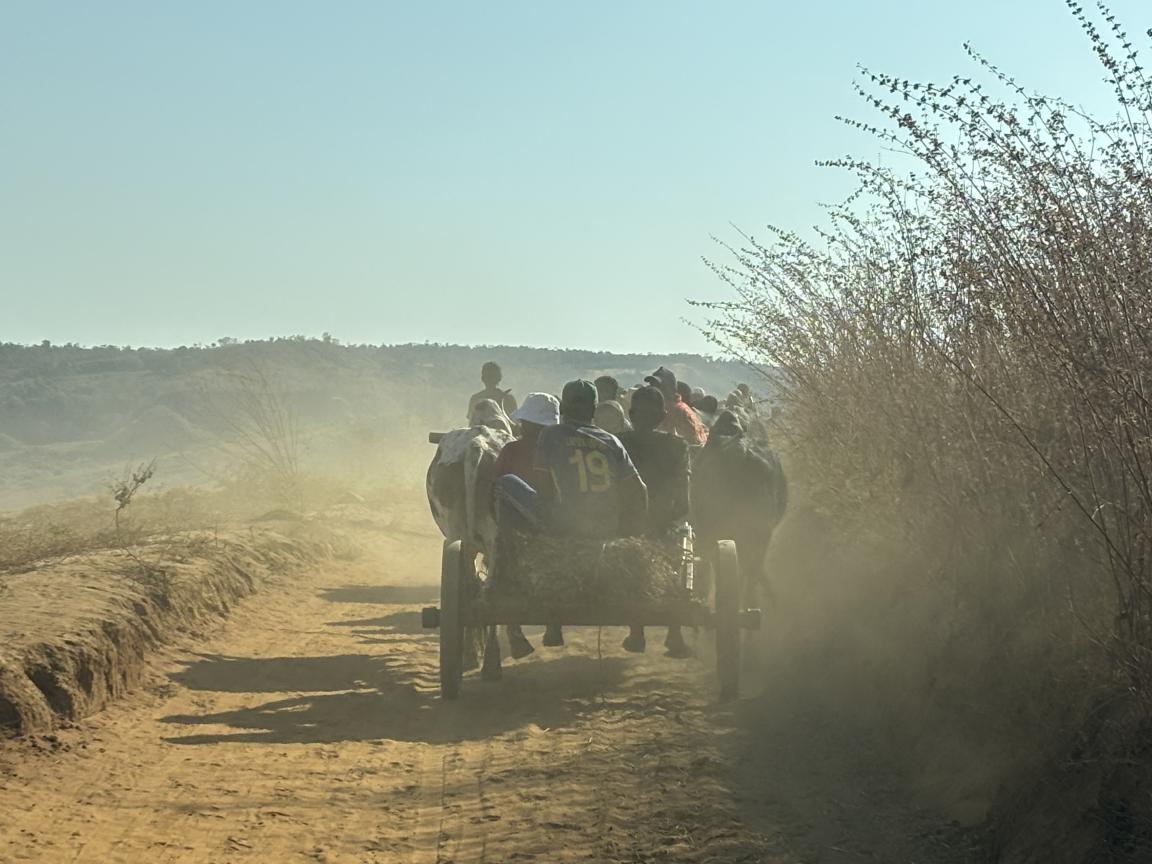 A group of people are travelling in a horse-drawn carriage.