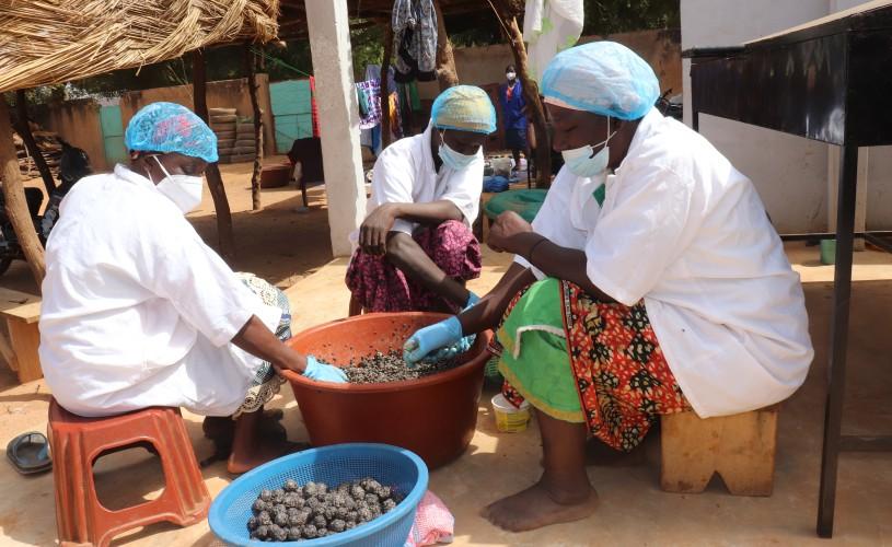 Membres d'une coopérative féminine produisant l’épice locale « Soumbala » à Kaya, au Burkina Faso.