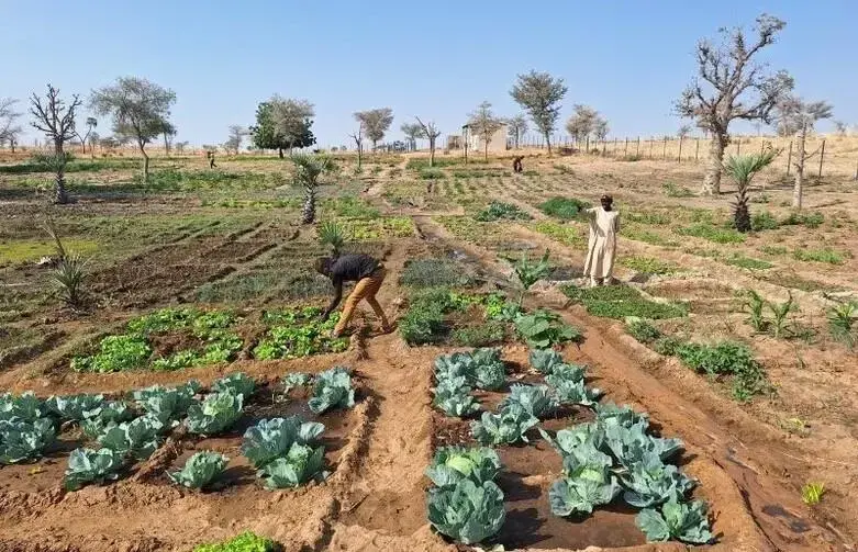Two people cultivating natural resources.