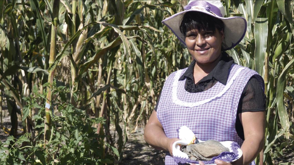 A woman holding miniature floors in a field.