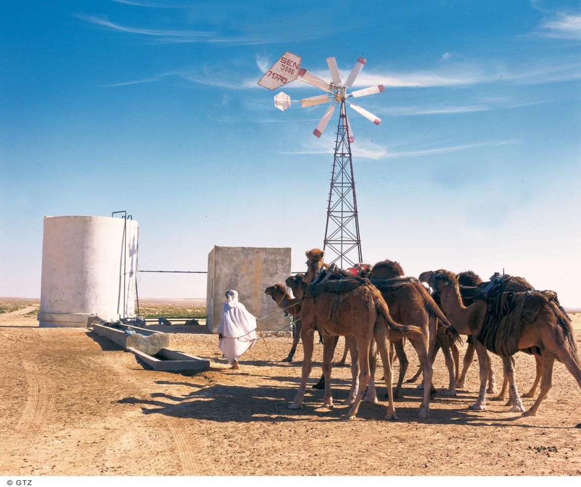 Ein Nomade führt Kamele zu einem Brunnen.