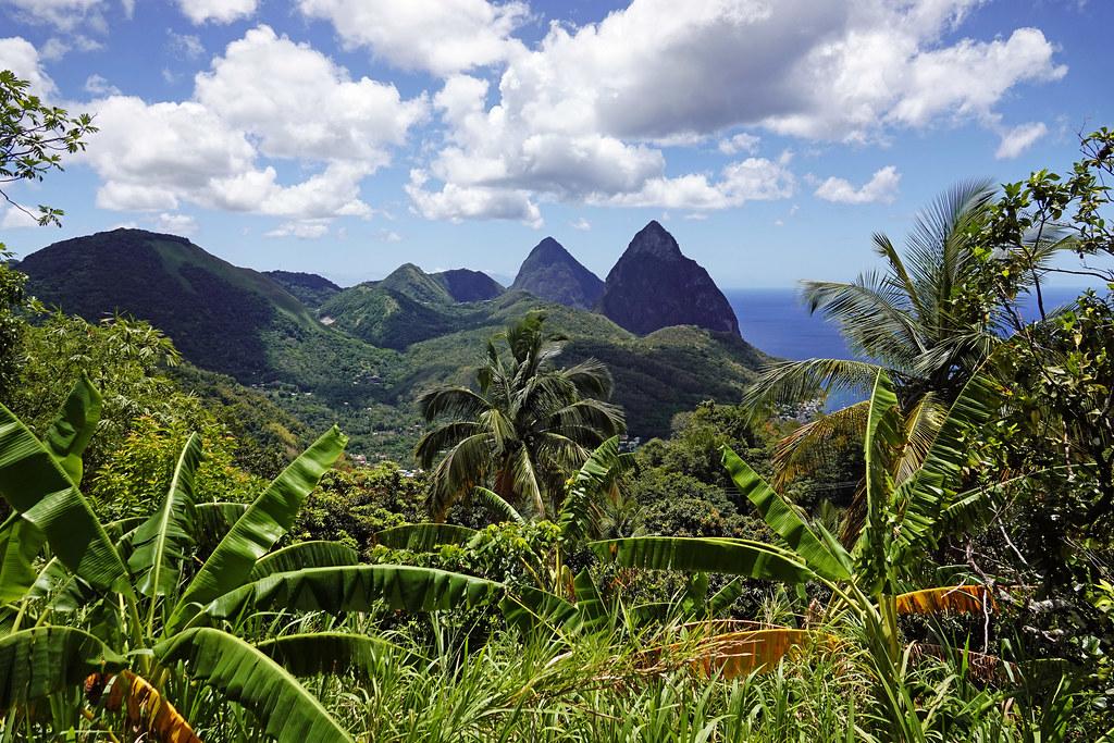 Verdant nature in Saint Lucia looking towards the Pitons.