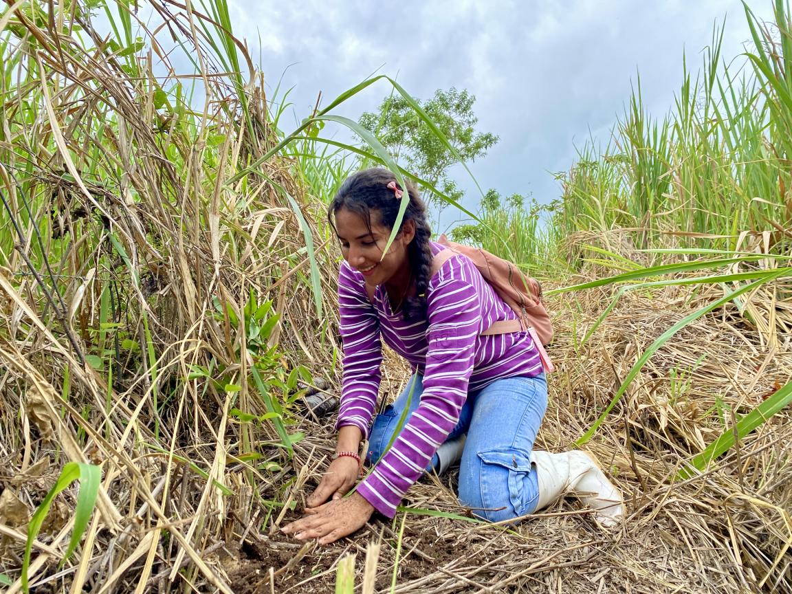 A woman kneels in a field and appears to be inspecting the plants.