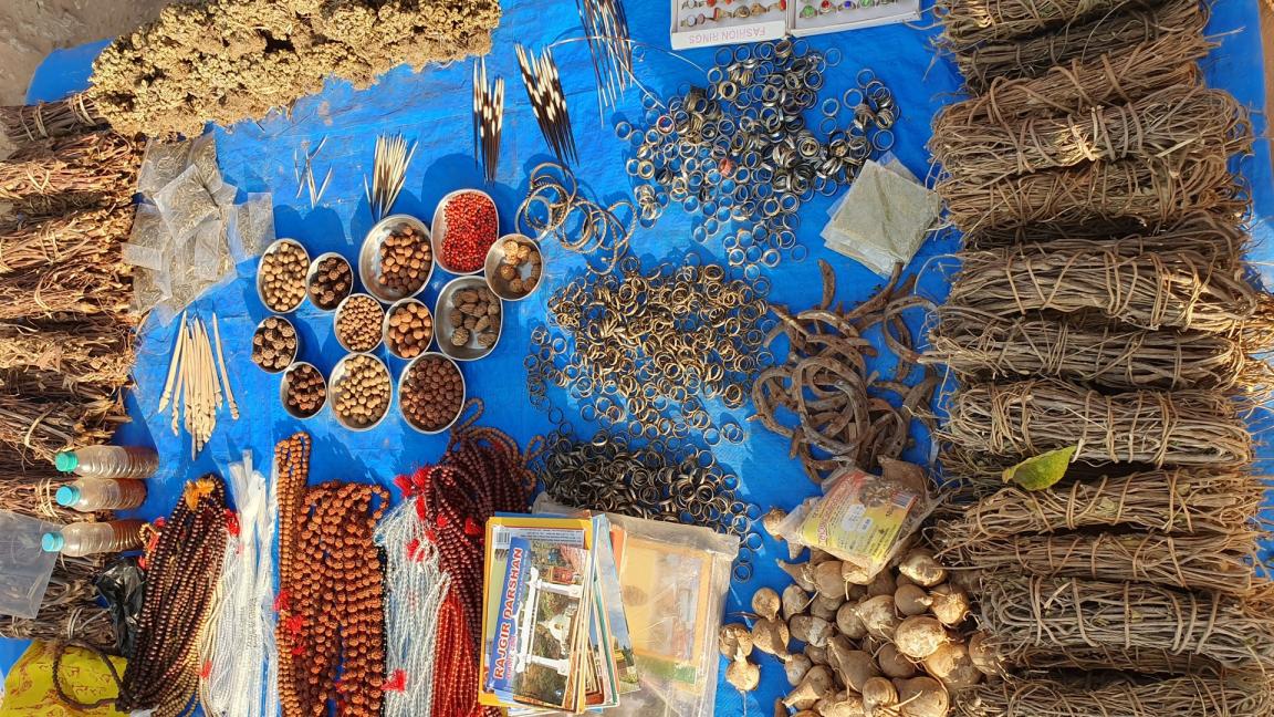 Various traditional items, seeds, roots, and natural resources are arranged on a blue cloth for biodiversity documentation.