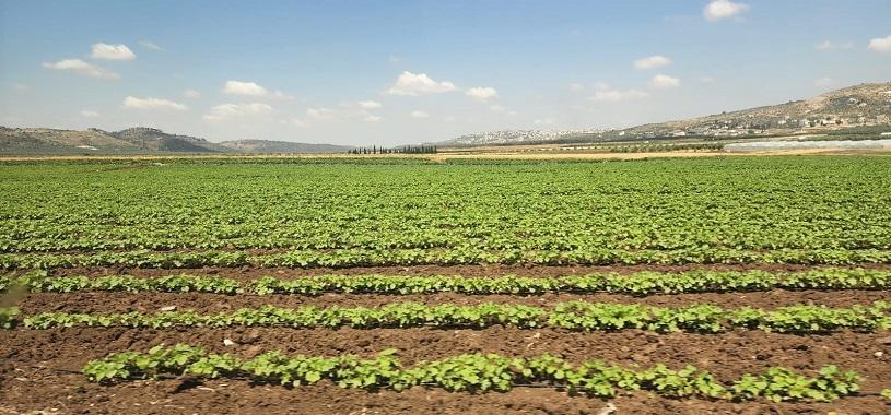 A green field surrounded by hills in the background.