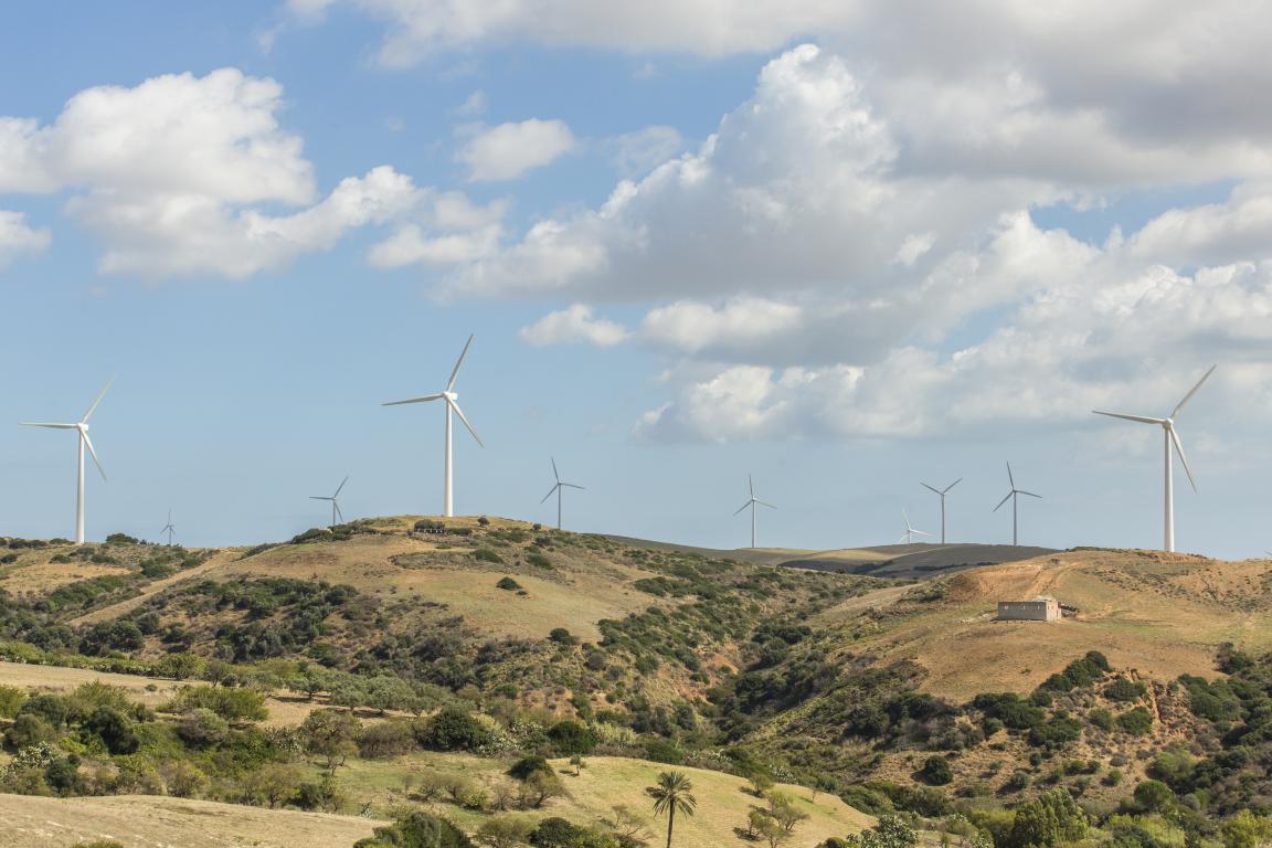 Parc éolien situé dans un paysage vallonné verdoyant à Bizerte 