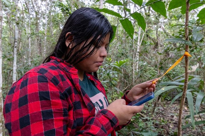 Examining the label on a sapling.