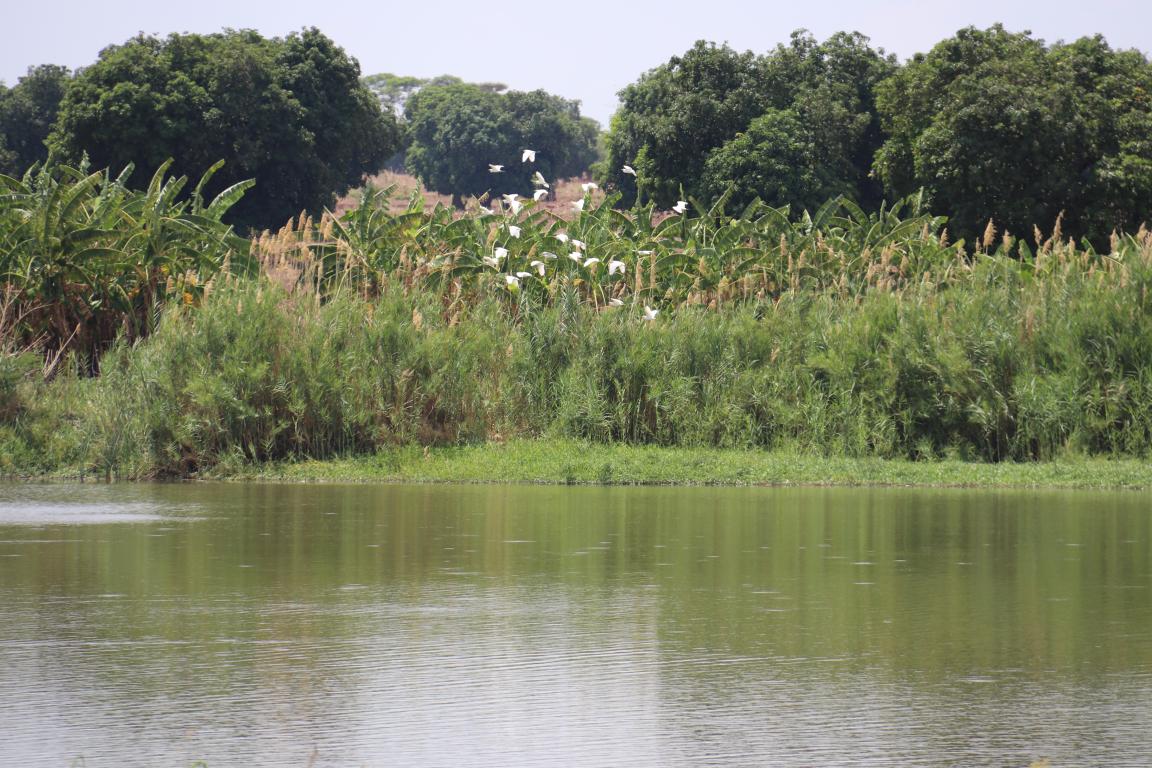 See in der Ostprovinz in Sambia.