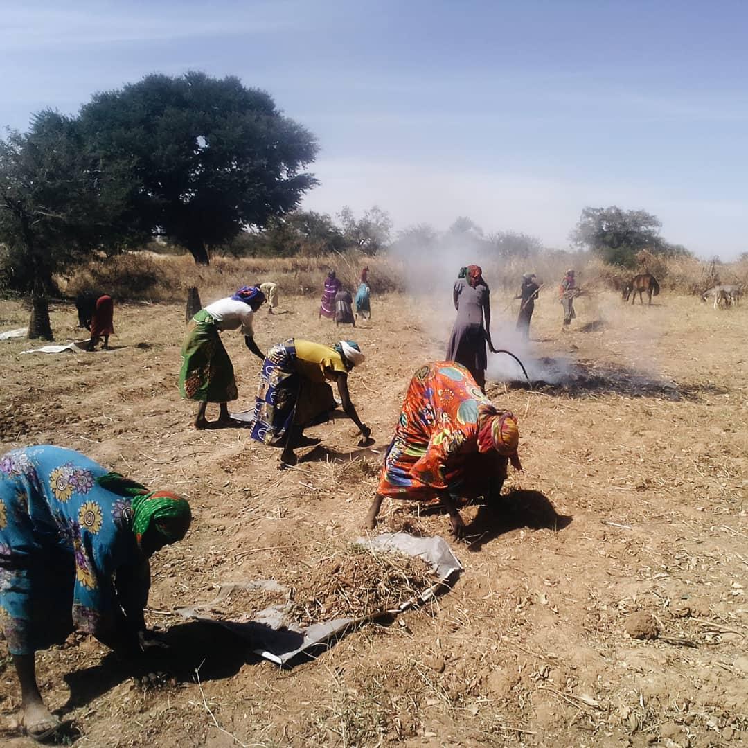 Women preparing a field to grow vegetables.