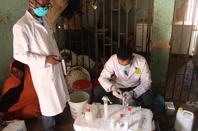 Personen in Laborkitteln führen eine Qualitätskontrolle im handwerklichen Kleinfischereihafen Nouakchott durch.