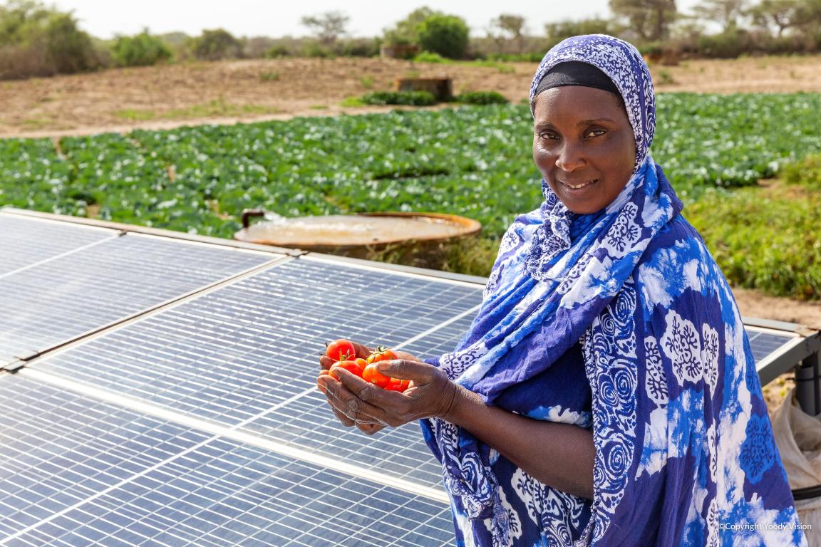 A woman stands next to solar panels in a field.