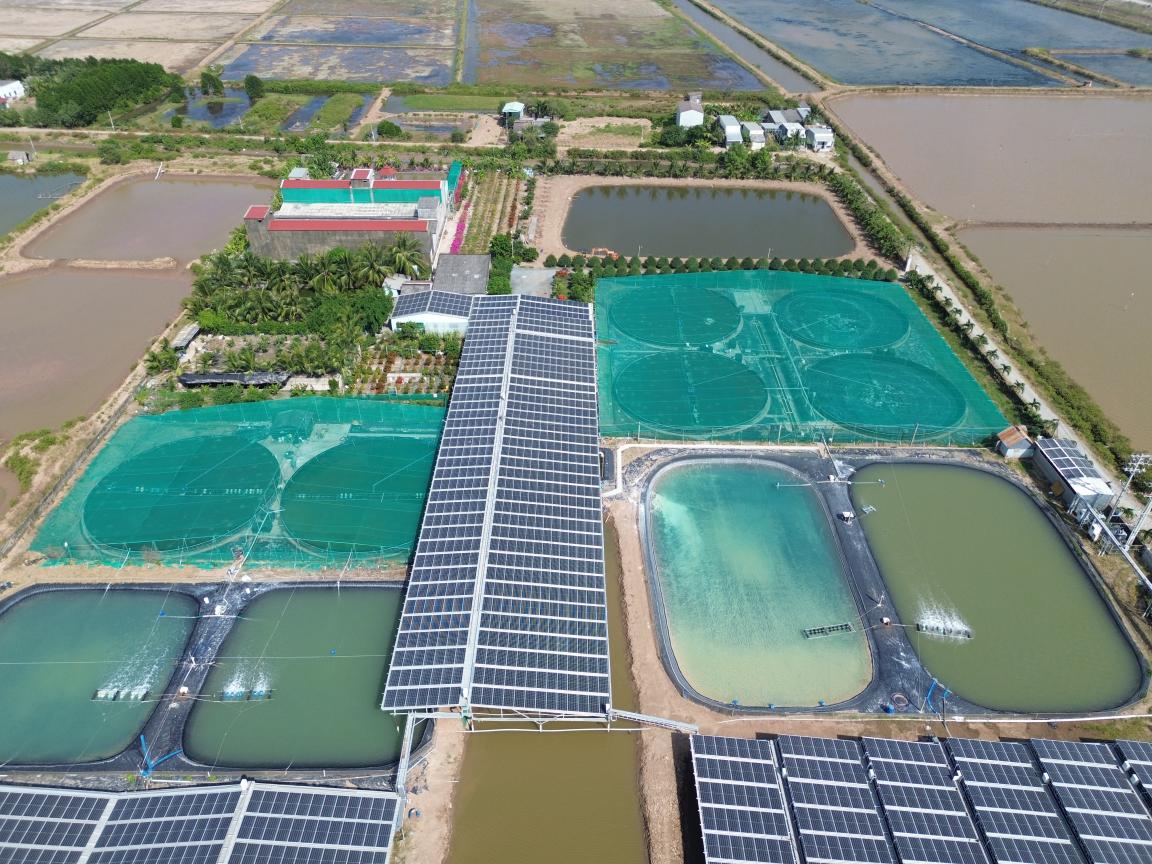 Solar panels in agricultural fields