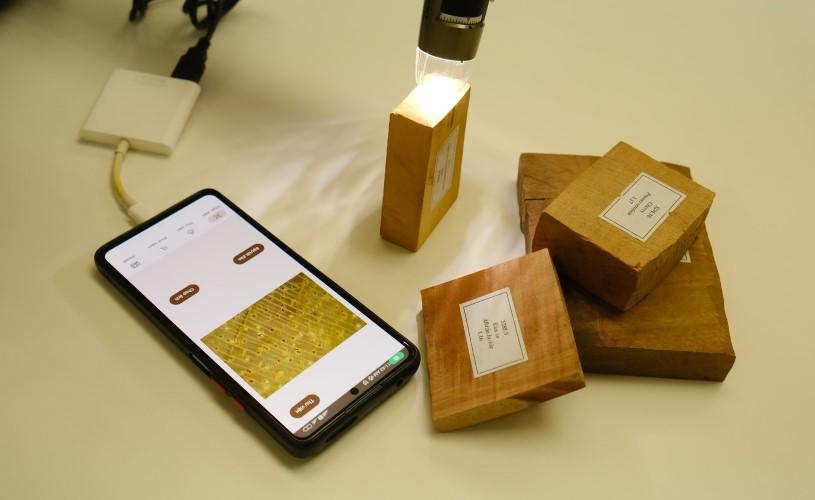 Wood samples being analysed with a digital microscope and a mobile app for species identification as part of efforts to ensure legal timber trade in Viet Nam.