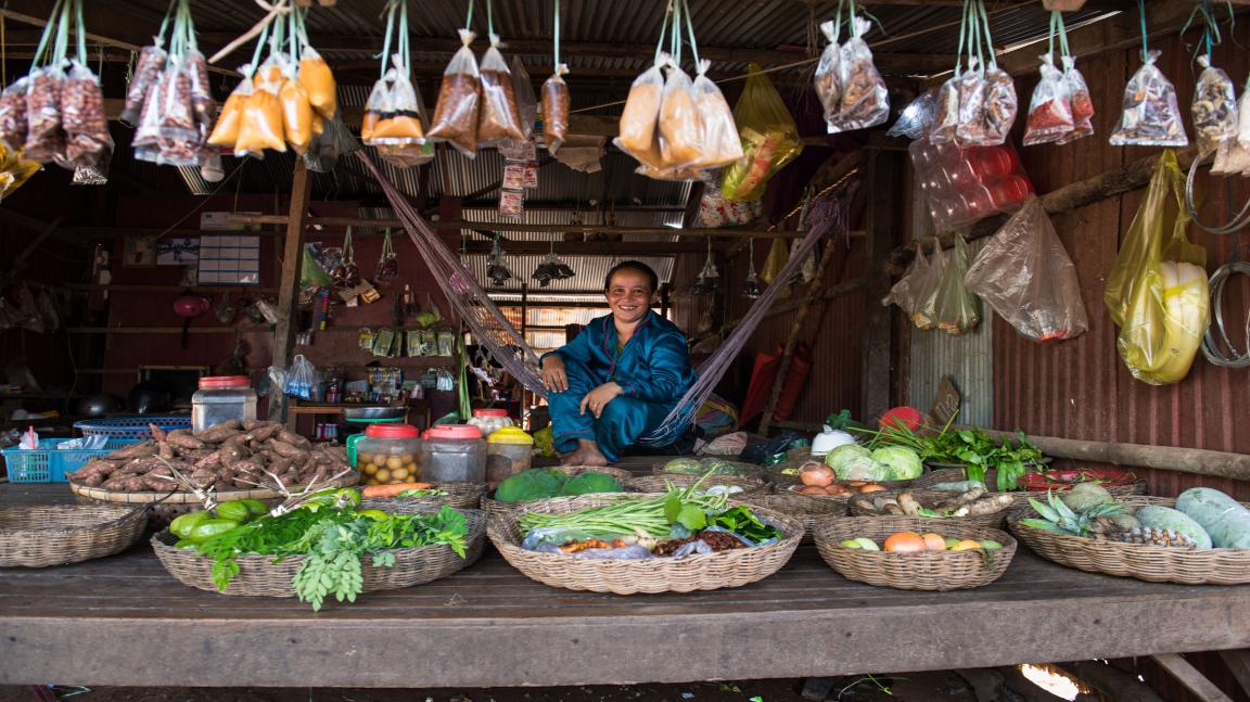 Market stall with baskets of vegetables and spices and plastic bags with food hanging above with a person sitting in a hammock in the background