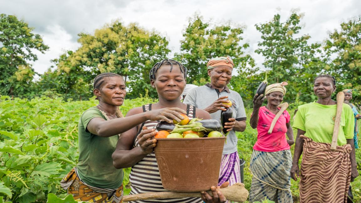Group of people in a field, one person holding a bucket filled with various vegetables