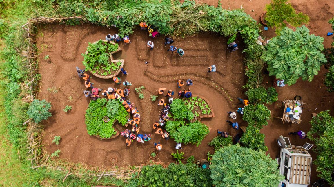 Vue aérienne d'un jardin avec plusieurs plates-bandes et des personnes qui y travaillent.