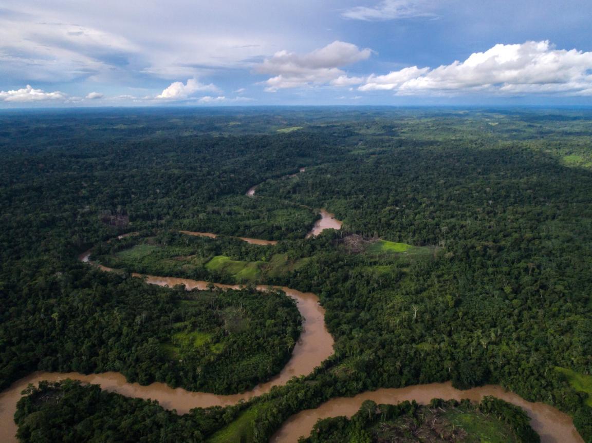 Amazonas Urwald Peru
