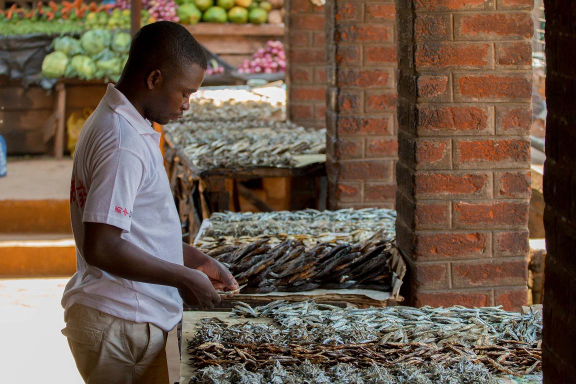 A man is standing at a stall in a fish market in Malawi.
