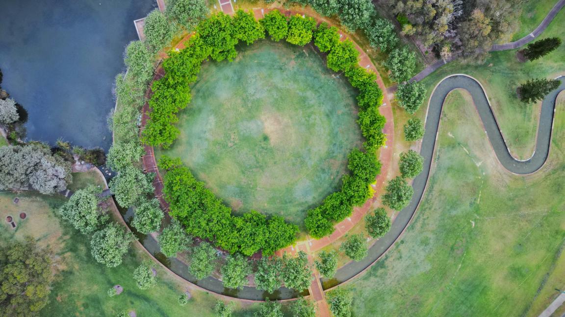 Aerial view of a circular path lined with trees surrounding a grassy central area, adjacent to a pond and additional paths in a park.