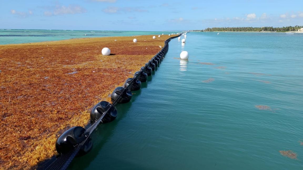 A barrier for Sargassum in the sea.