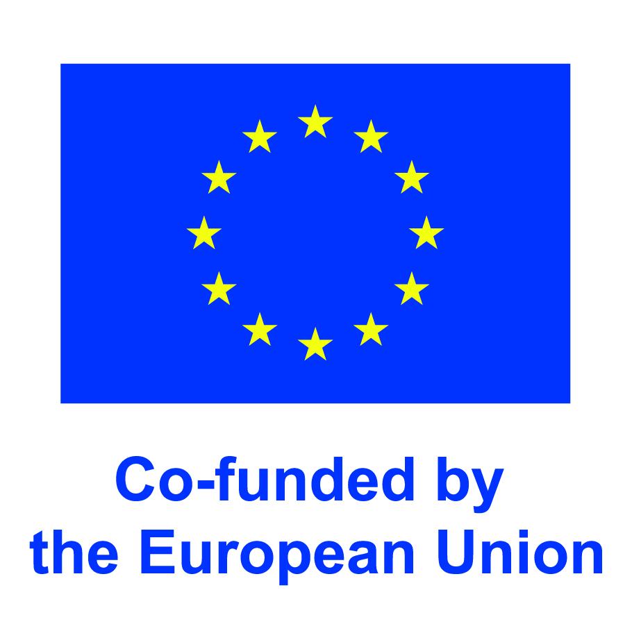 EU Logo Englisch