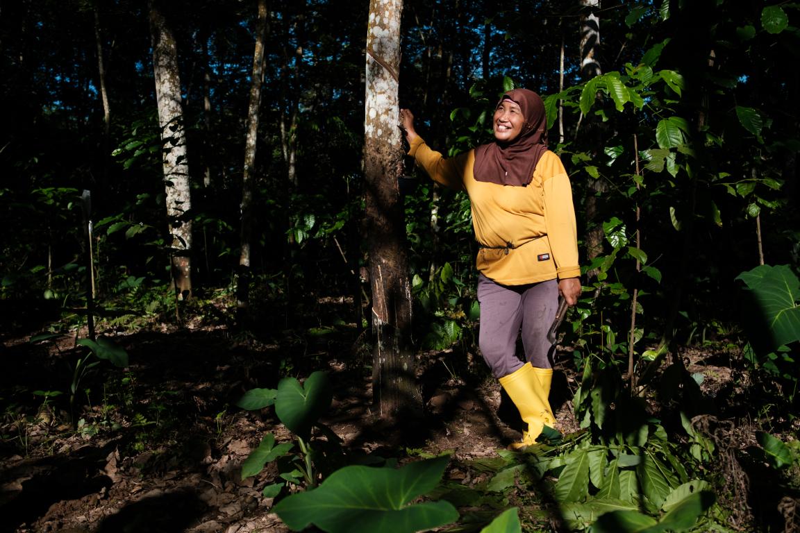 A farmer from Sumatra stands near a rubber tree in the forest.