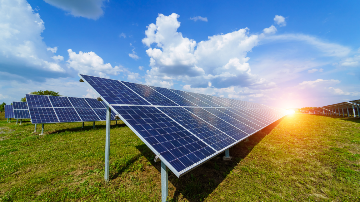 Solarpanels auf einer Wiese.