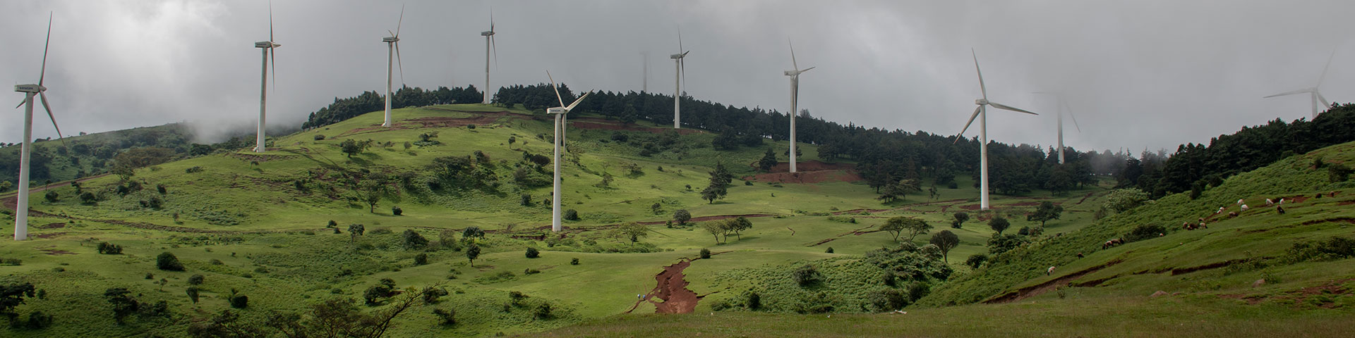 Mehrere Windkraftanlagen mitten in einer grünen Landschaft.