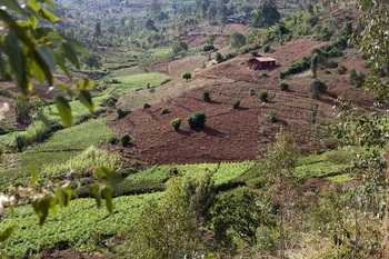 2 - CAADP Klima - Burundi