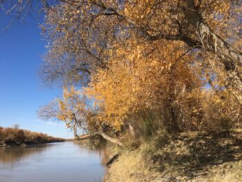 Am Unterlauf des Amudarya Flusses Usbekistan