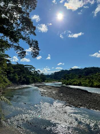 Amazonian landscape of the province of Pastaza