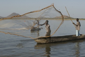 Übergangshilfe als Instrument der Krisenbewältigung. Fischerei im Tschad. © GIZ / Wohlmann
