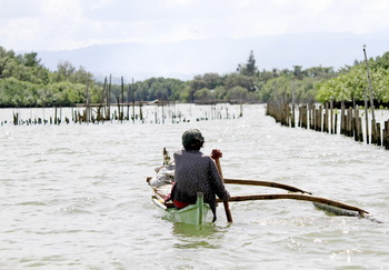 Ein Mann sitzt in einem kleinen Fischerboot und paddelt auf dem geschützten Küstenfeuchtgebiet Coastal in Kabankalan.