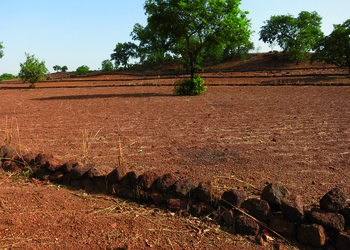 Burkina Faso. Steinreihe mit wiedergewonnener Anbaufläche © GIZ