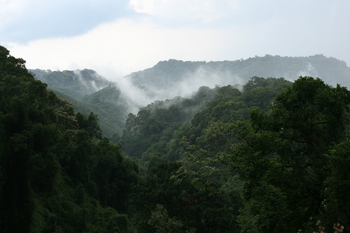 Blick aus einem Wald auf das madagassiche Hochland, GIZ/Ragna John