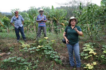 Honduras. Eine Frau der Agrar-und Forstkooperative „Buena Vista“ bei der Herstellung von Kienspan für den lokalen Markt. © GIZ 