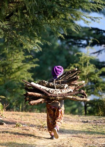 Eine Frau kehrt aus einem Wald in ein abgelegenes Dorf nahe des Himalaya-Nationalparks zurück, nachdem sie Feuerholz gesammelt hat.