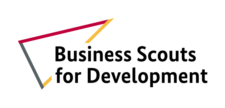 Logo des Business Scouts for Development Programms 